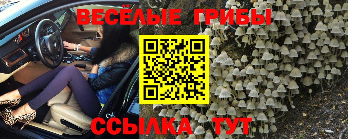 Благовещенск  Псилоцибиновые грибы Psilocybe  Вход с VPN 
