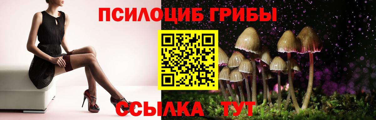 Галлюциногенные грибы мицелий Благовещенск