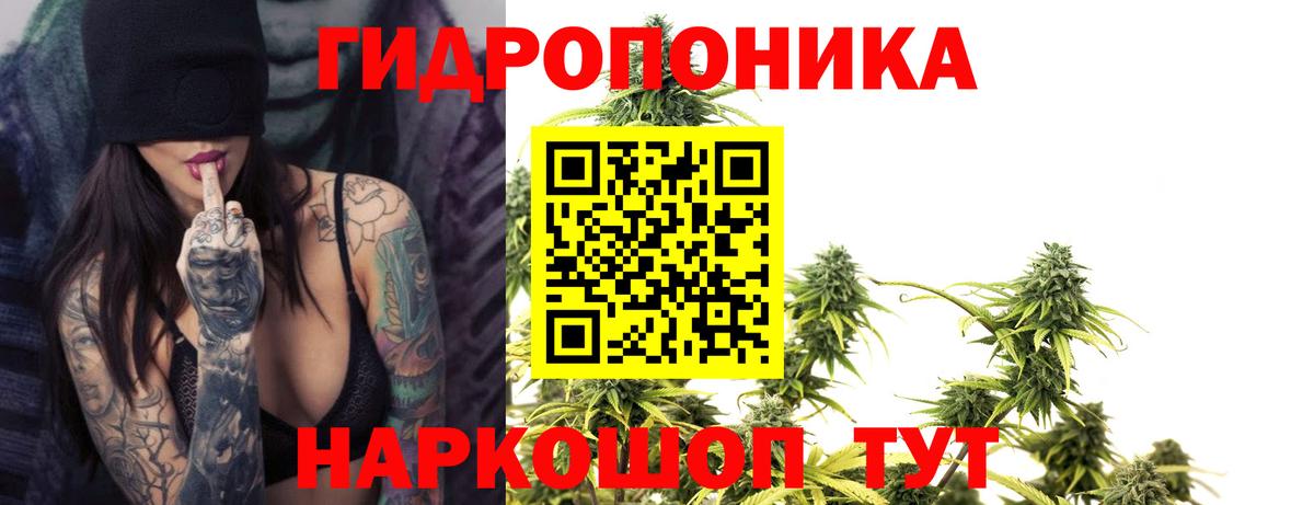 Канабис семена Благовещенск
